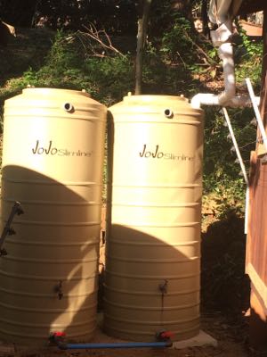 Palmtree rainwater system